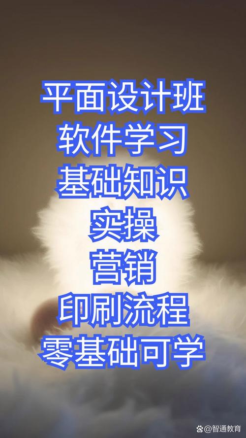 美工与平面设计 视觉创造中的双子星，何者更闪耀？